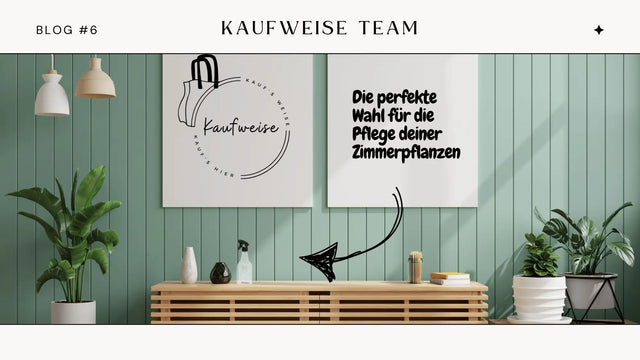 Guide: Die perfekte Wahl für die Pflege deiner Zimmerpflanzen