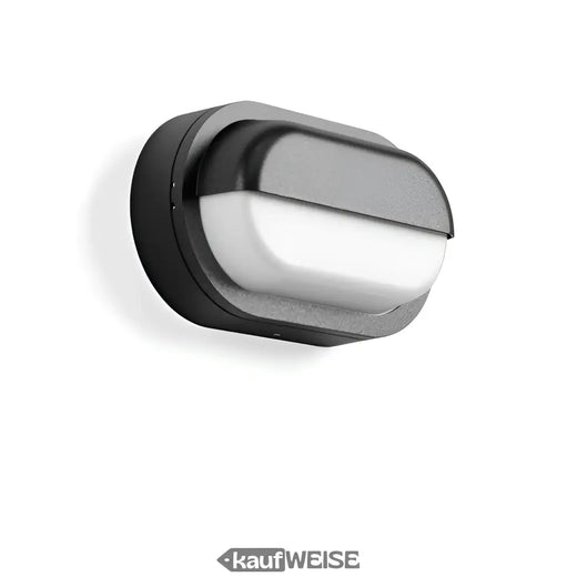 RZB Alu-Lux Oval LED φωτιστικό τοίχου & οροφής | 582065.0031.1