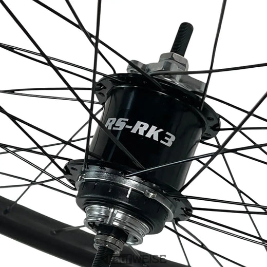 Sturmey-Archer RS-RK3 3-τάχυτο πλήμνη με βάση δίσκου